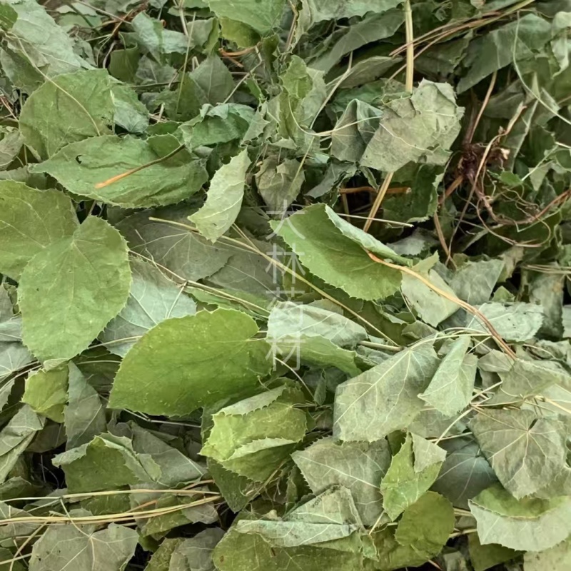 淫羊藿【包邮】三斤起发货可批量可零售量大从优