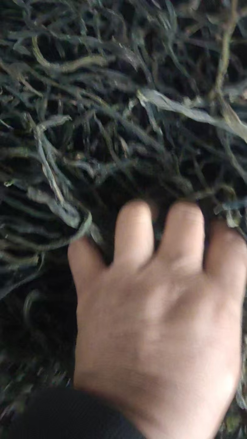 干豆角，货量充足，品质佳，规格齐全欢迎咨询