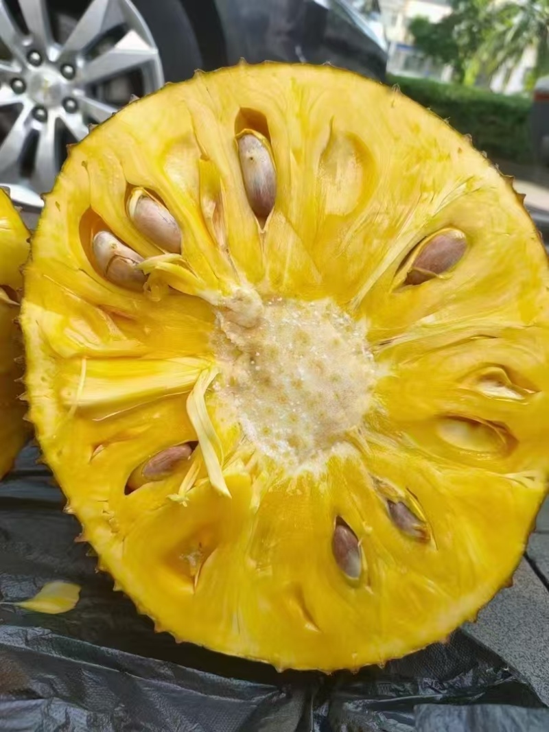 菠萝蜜应季长期供应下单秒发
