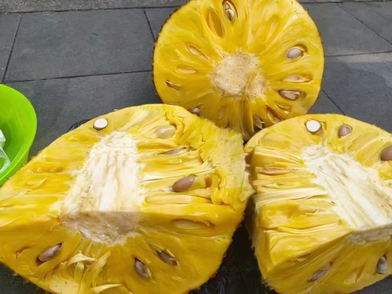 菠萝蜜应季长期供应下单秒发