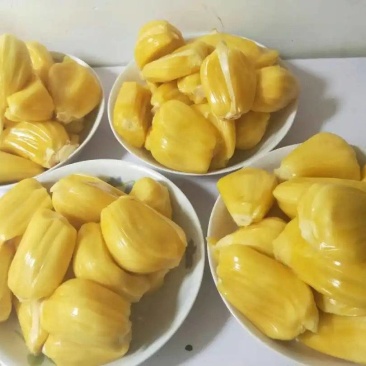 菠萝蜜应季长期供应下单秒发