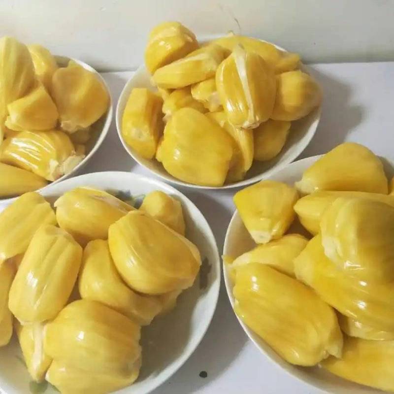 菠萝蜜应季长期供应下单秒发