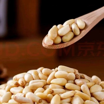 东北精品梅河口松子仁新鲜坚果大量现货量大从优