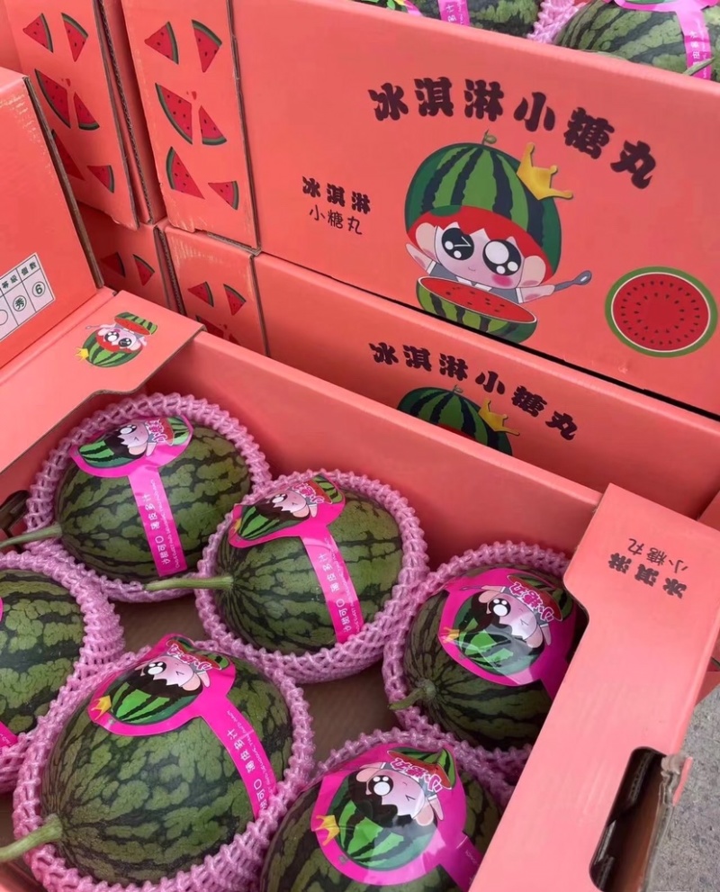 西瓜小糖丸西瓜产地直发包熟包甜提供一条龙服务