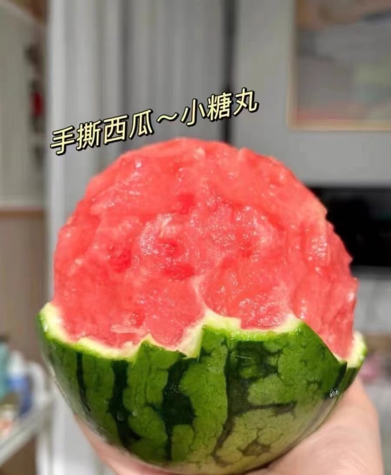 西瓜小糖丸西瓜产地直发包熟包甜提供一条龙服务