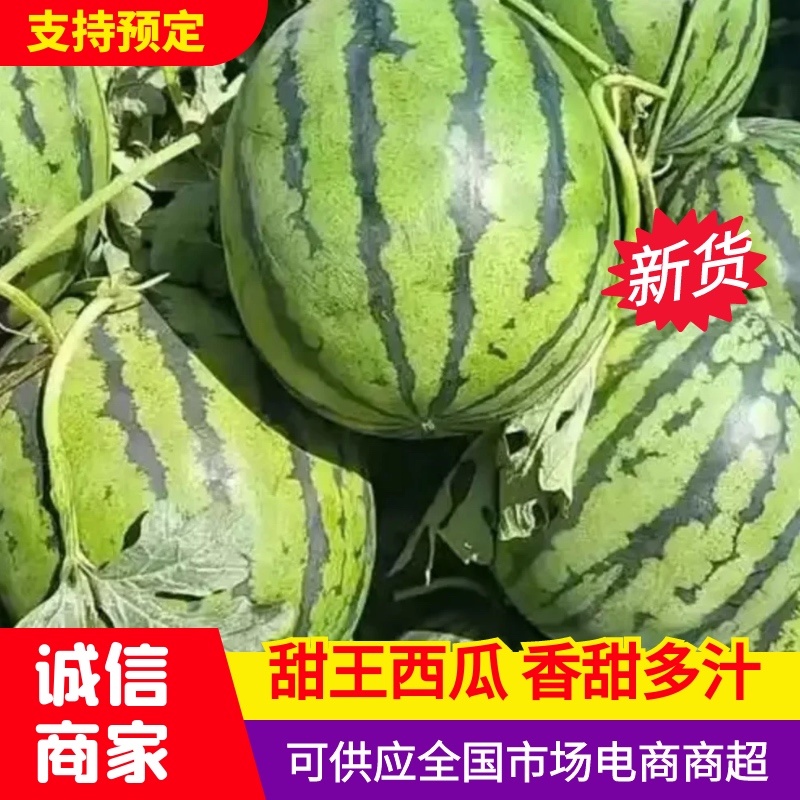 甜王西瓜一手货源，价格优惠，产地直发，欢迎采购