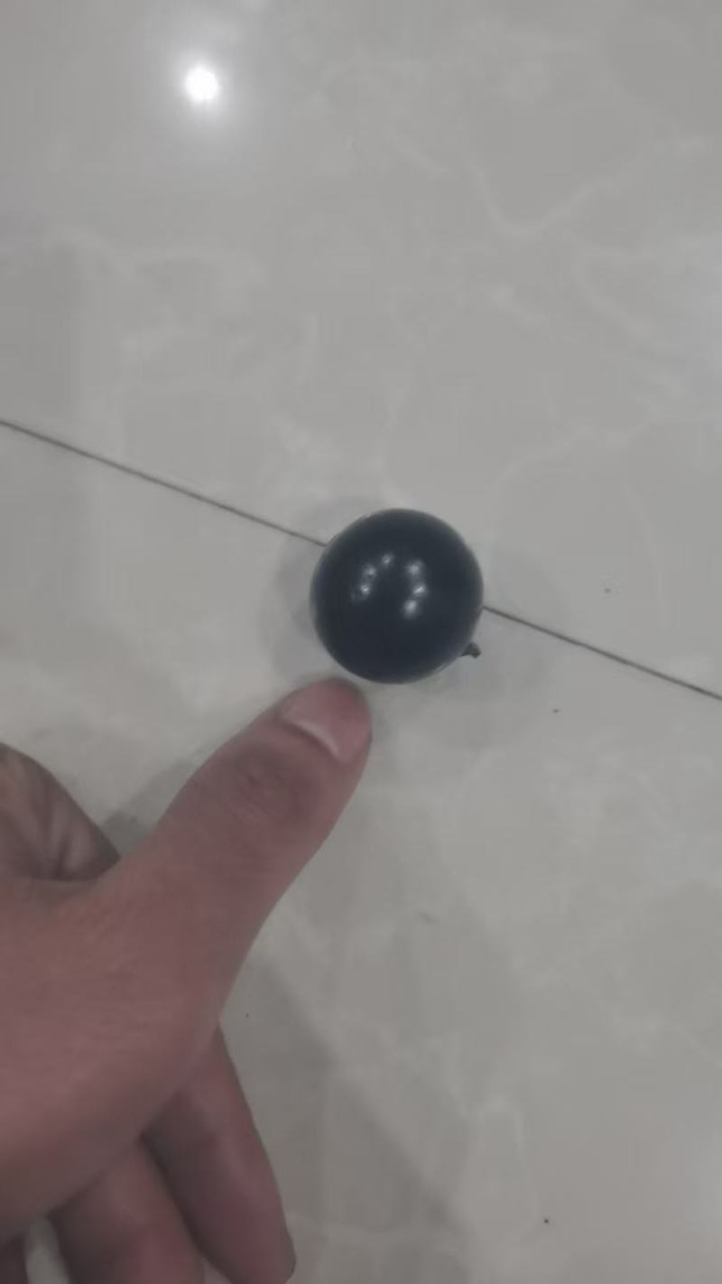 【树葡萄，又名嘉宝果，产地直发现，摘现发】一手货源