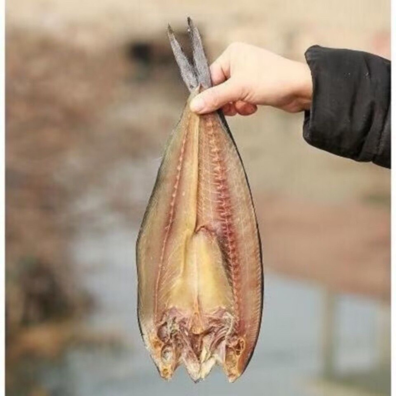 去内脏开背鲅鱼片马鲛鱼干淡干鱼肉烧烤食材风干鱼干燕鲅鱼段