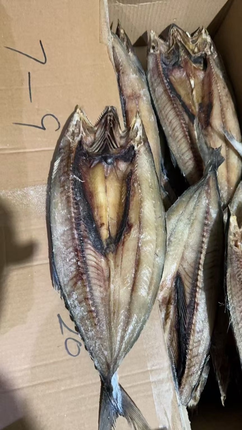 去内脏开背鲅鱼片马鲛鱼干淡干鱼肉烧烤食材风干鱼干燕鲅鱼段