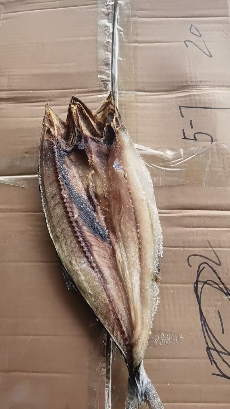 去内脏开背鲅鱼片马鲛鱼干淡干鱼肉烧烤食材风干鱼干燕鲅鱼段