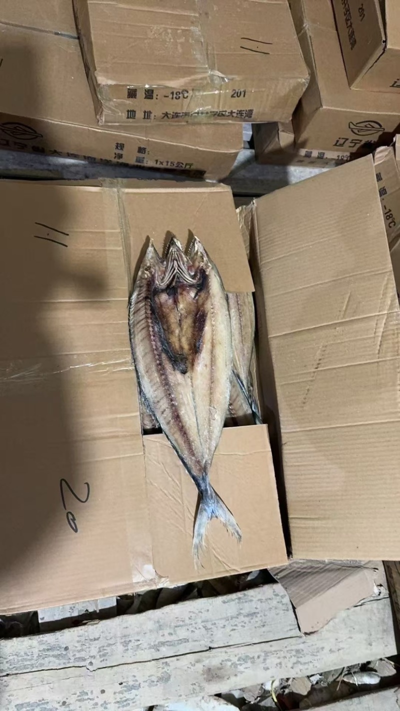 去内脏开背鲅鱼片马鲛鱼干淡干鱼肉烧烤食材风干鱼干燕鲅鱼段