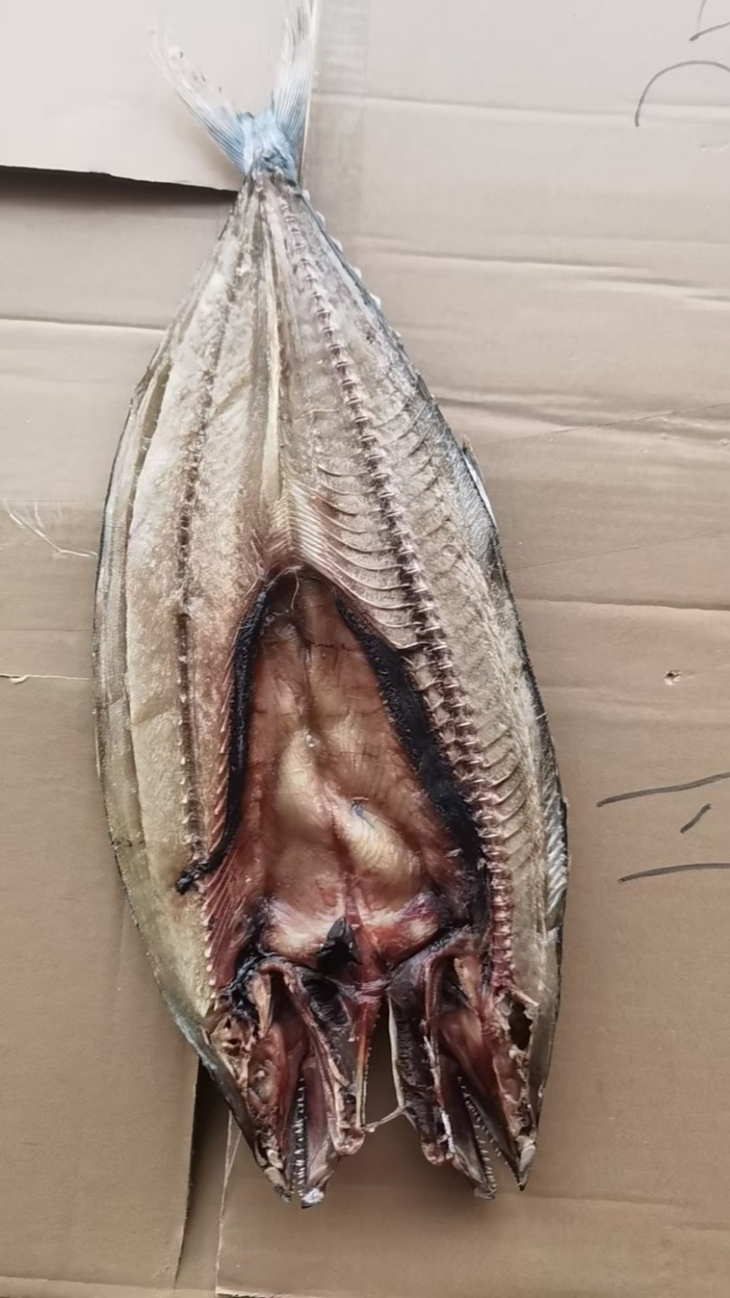 去内脏开背鲅鱼片马鲛鱼干淡干鱼肉烧烤食材风干鱼干燕鲅鱼段
