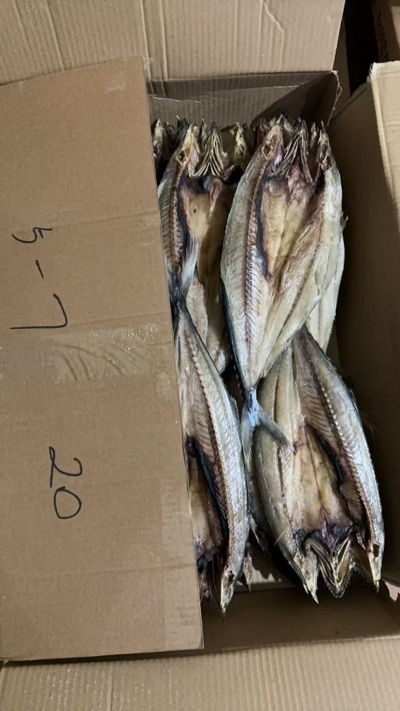 去内脏开背鲅鱼片马鲛鱼干淡干鱼肉烧烤食材风干鱼干燕鲅鱼段