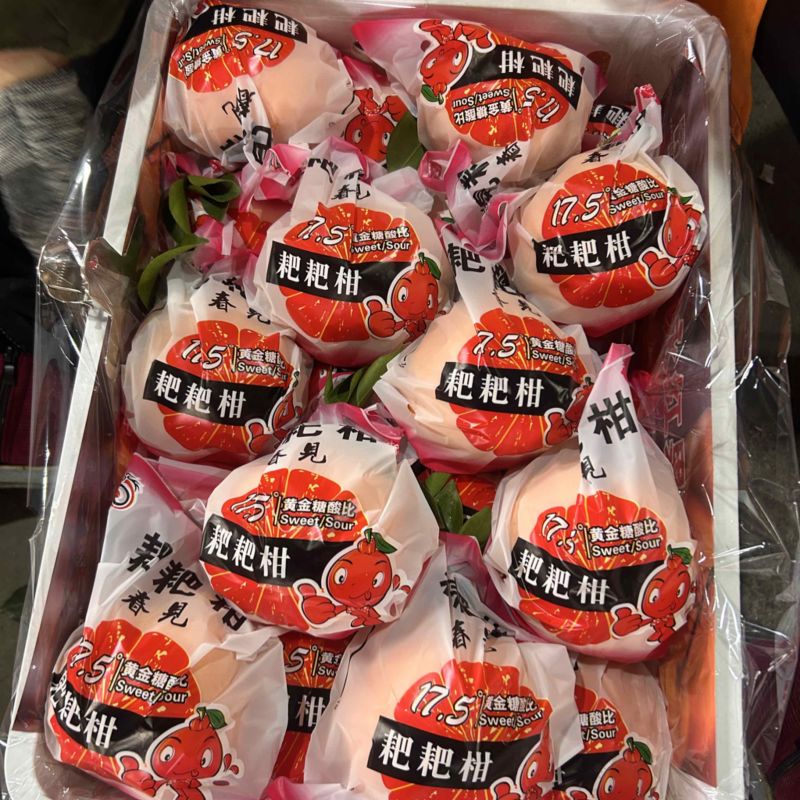四川耙耙柑（春见）出口品质莫斯科中亚五国