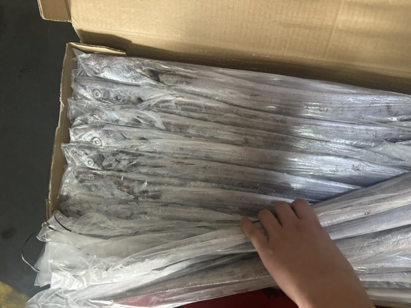 带鱼200/300钓A条冻