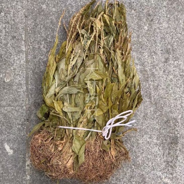 见血清【包邮】三斤起发货可批量可零售量大从优