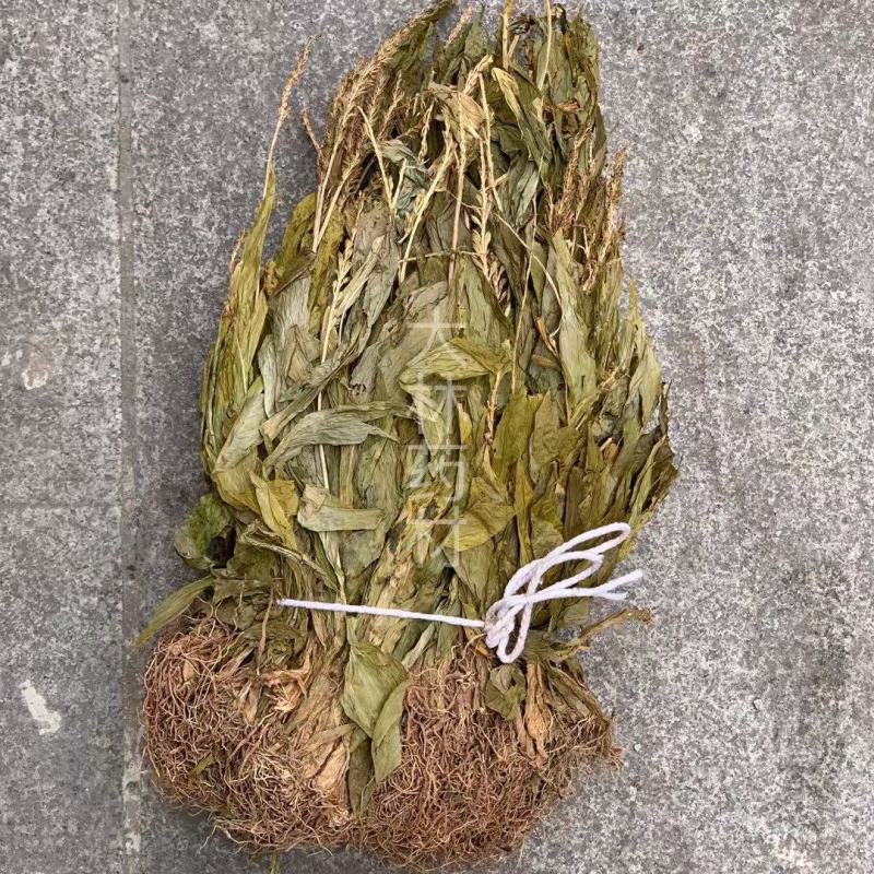 见血清【包邮】三斤起发货可批量可零售量大从优