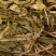 见血清【包邮】三斤起发货可批量可零售量大从优