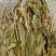 见血清【包邮】三斤起发货可批量可零售量大从优