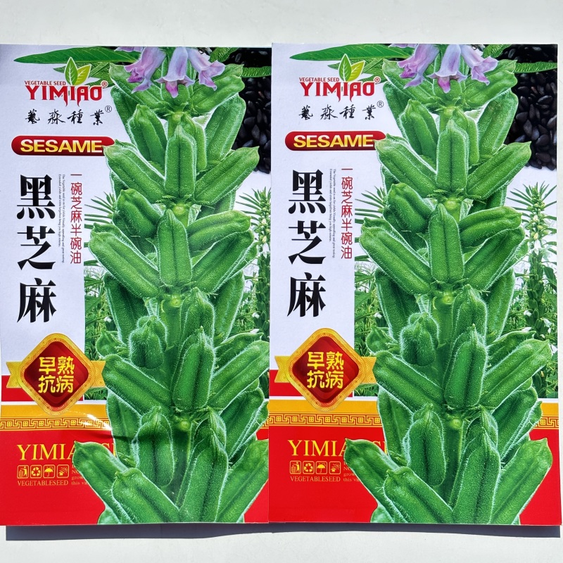 黑芝麻种子春夏芝麻种子早熟丰产滋养用种孑白芝麻种籽菜