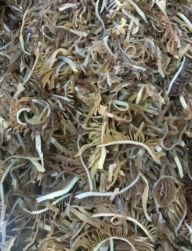 鲜美脆嫩，牛百叶里藏乾坤；滋味无穷，每一口都是满足！