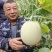 网纹瓜，3-8月份牛三，大量有货了视频看货，诚信为本