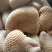 【熟食全熟金钱肚】牛肚美味，舌尖狂欢，美味难挡