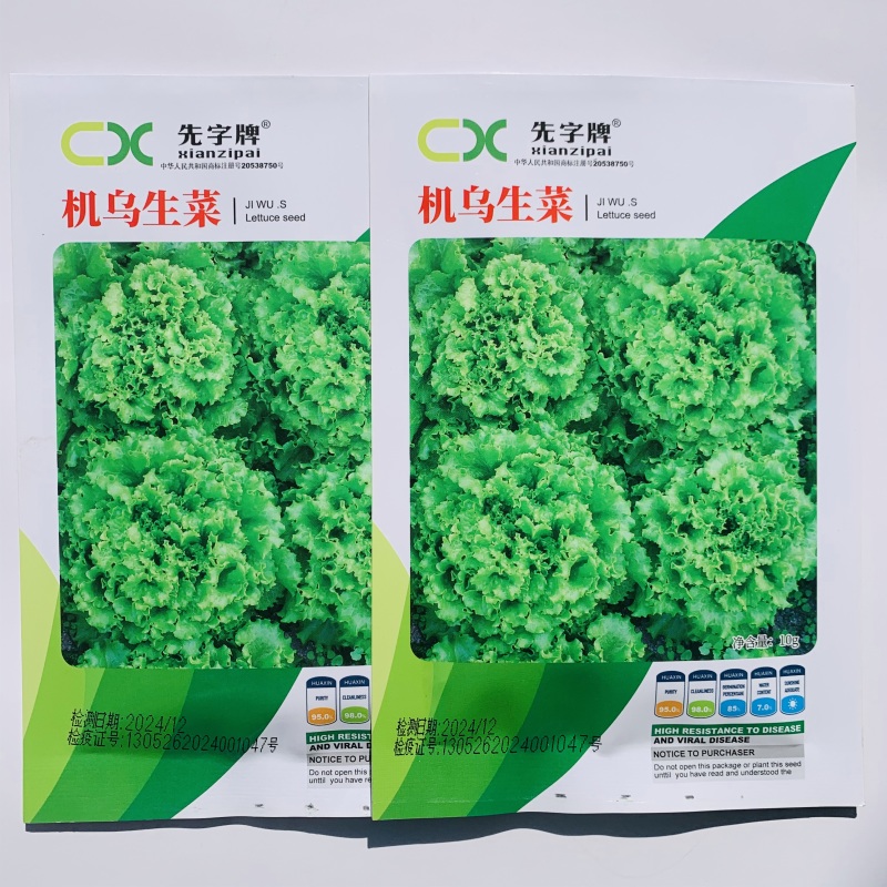 机乌生菜种子大速生菜种籽四季种植盆栽生吃耐热沙拉蔬菜