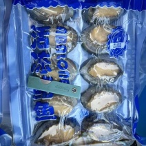 鲍鱼真空包装，25包，30元每包支持快递，物流运输，航空