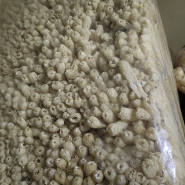 新品上市，竹荪，竹荪干