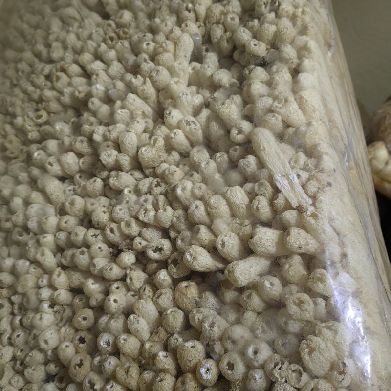 新品上市，竹荪，竹荪干