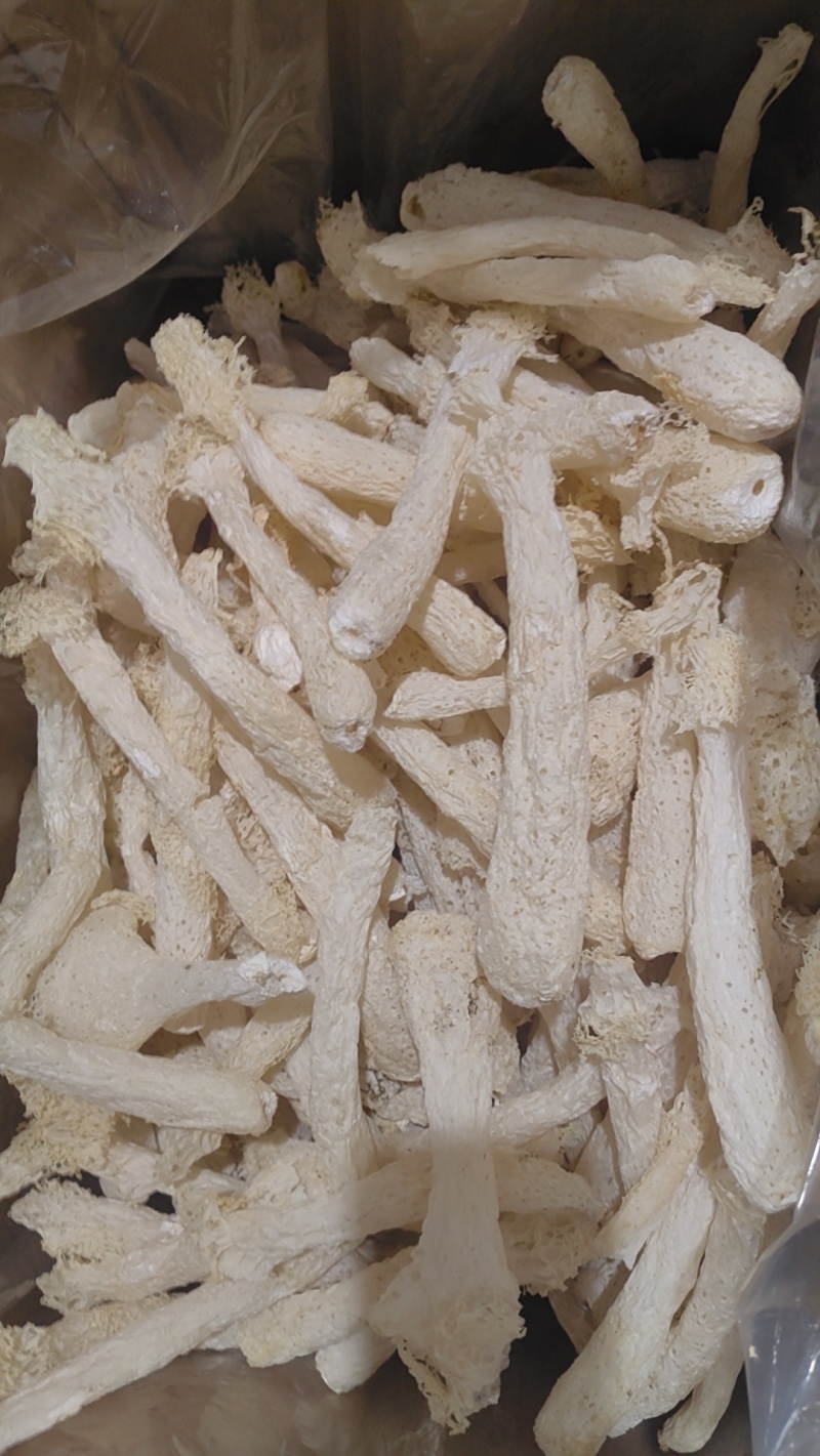新品上市，竹荪，竹荪干