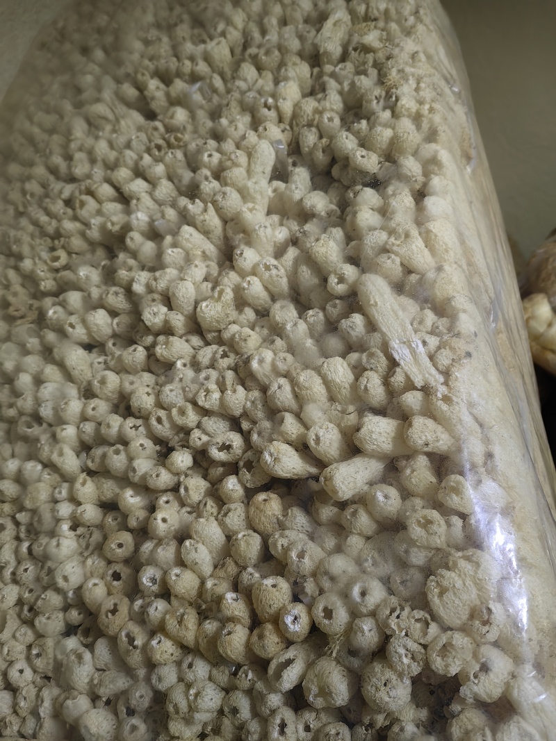 新品上市，竹荪，竹荪干