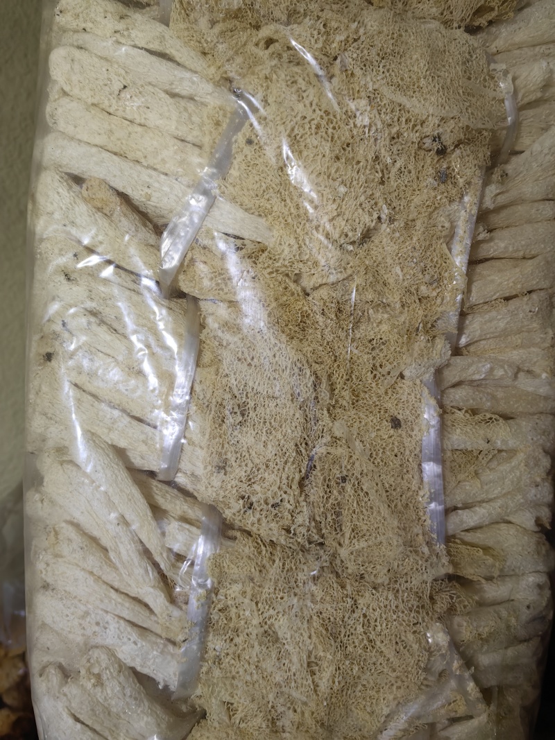新品上市，竹荪，竹荪干