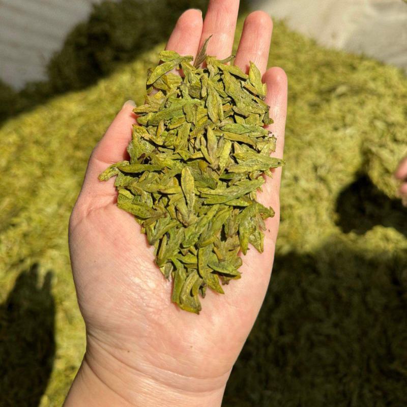 500g高档明前龙井新茶高山绿茶茶叶浓香型绿茶浓香耐泡