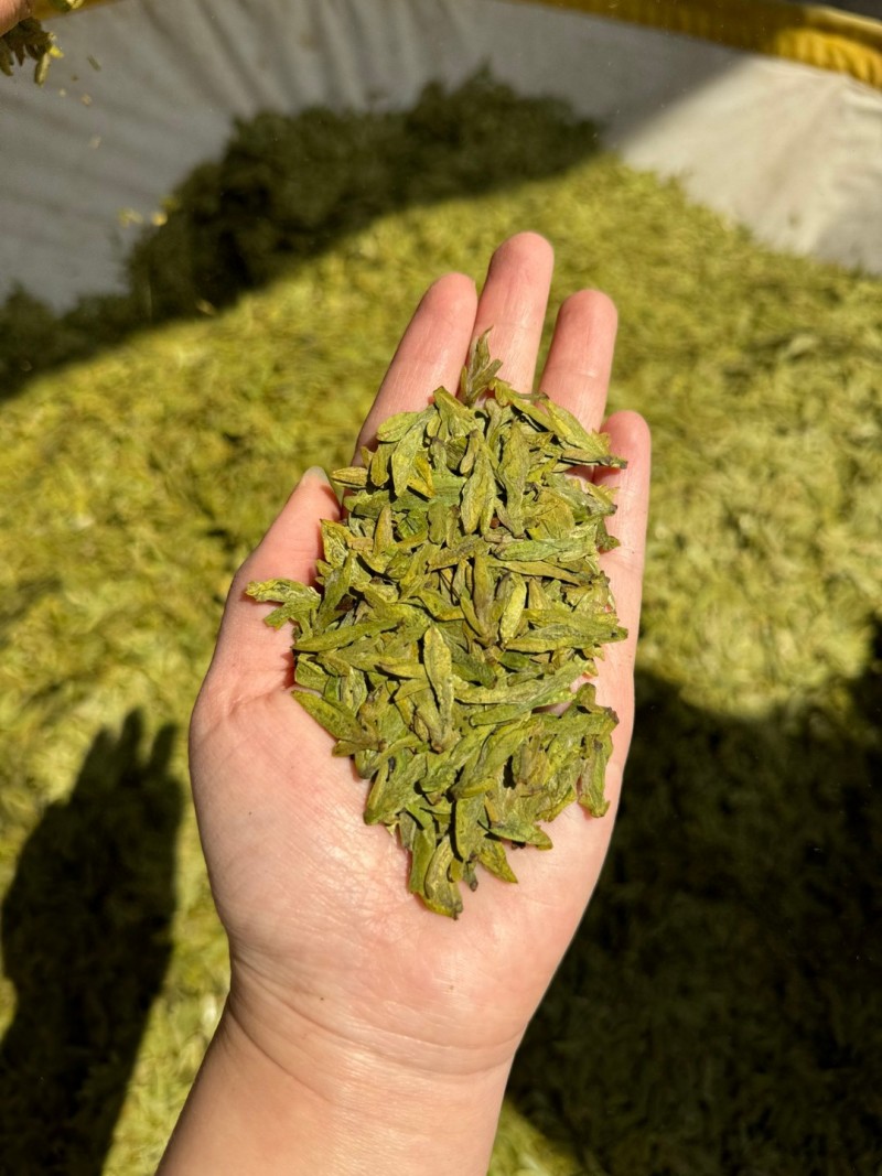 500g高档明前龙井新茶高山绿茶茶叶浓香型绿茶浓香耐泡