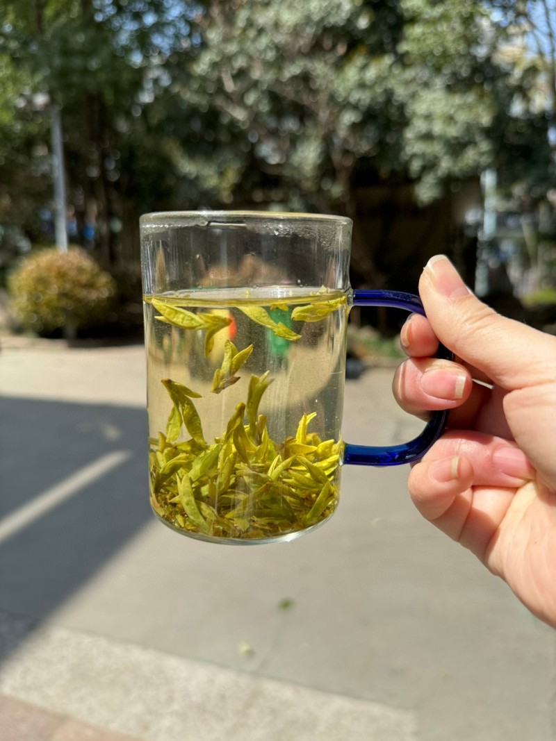 500g高档明前龙井新茶高山绿茶茶叶浓香型绿茶浓香耐泡