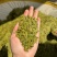 500g高档明前龙井新茶高山绿茶茶叶浓香型绿茶浓香耐泡