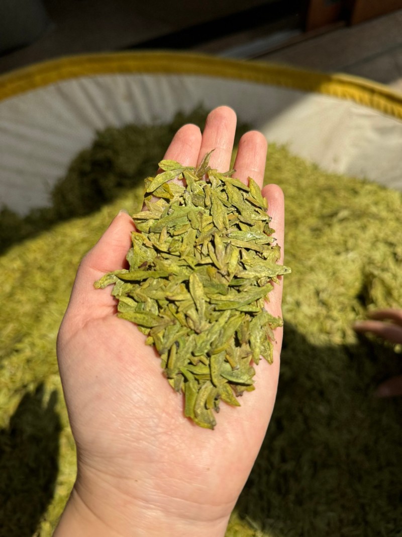 250g高档明前龙井新茶高山绿茶茶叶浓香型绿茶浓香耐泡