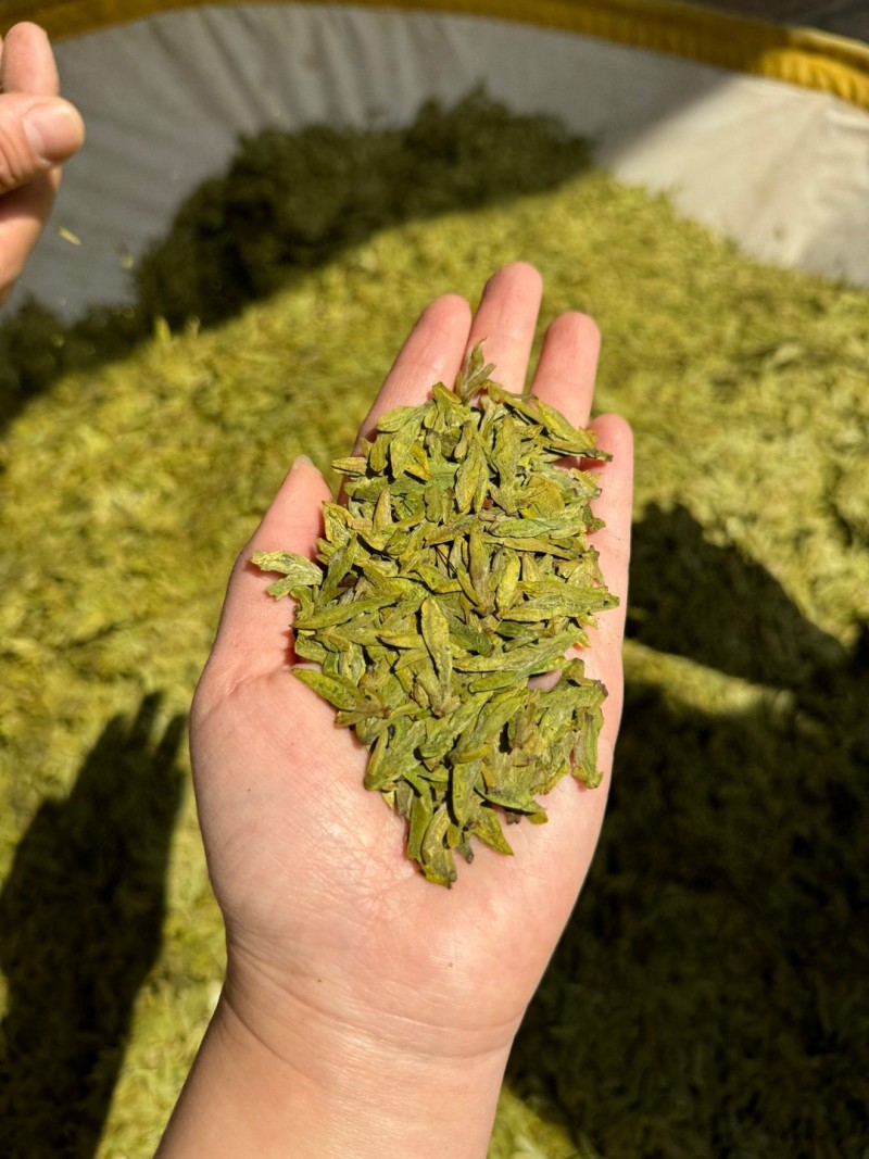 250g高档明前龙井新茶高山绿茶茶叶浓香型绿茶浓香耐泡