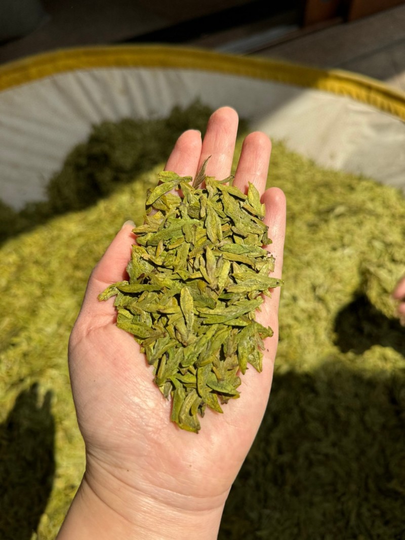 250g高档明前龙井新茶高山绿茶茶叶浓香型绿茶浓香耐泡