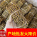 石斛粗条石斛干条芽条铁皮鲜条煲汤无渣胶质饱满新鲜磨粉批发