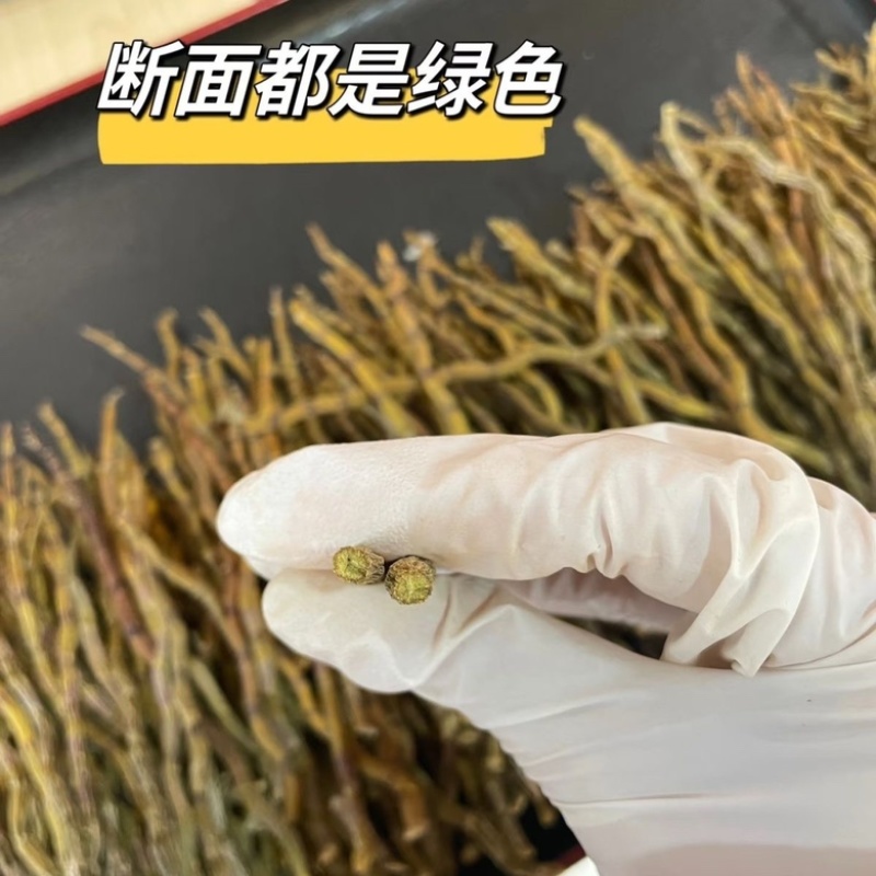 石斛粗条石斛干条芽条铁皮鲜条煲汤无渣胶质饱满新鲜磨粉批发