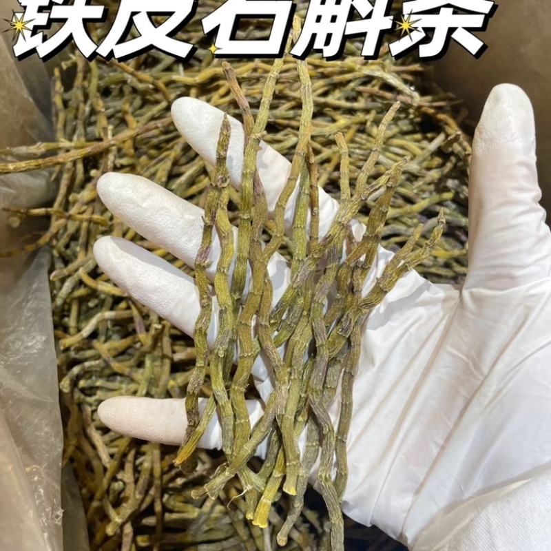 石斛粗条石斛干条芽条铁皮鲜条煲汤无渣胶质饱满新鲜磨粉批发