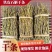 石斛粗条石斛干条芽条铁皮鲜条煲汤无渣胶质饱满新鲜磨粉批发