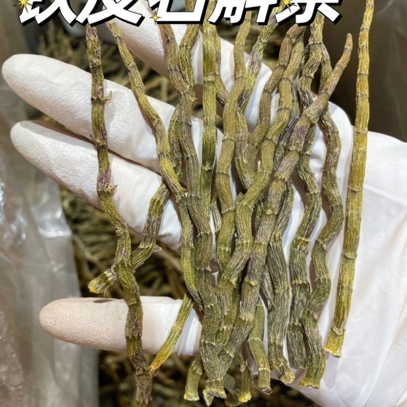 石斛粗条石斛干条芽条铁皮鲜条煲汤无渣胶质饱满新鲜磨粉批发