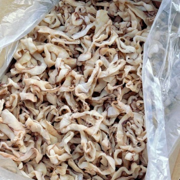 鱿鱼条圈鱿鱼条边角料干鱿鱼条魷鱼圈鱿鱼边电商快销地摊农贸