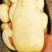 稀森土豆，一亩田。果形好饱满4两以上精品