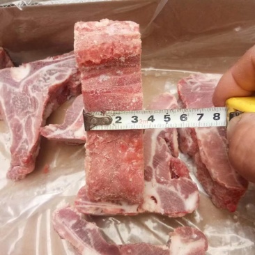多肉龙骨块7一斤最新日期！现场实拍！如有需要请联系腾惠