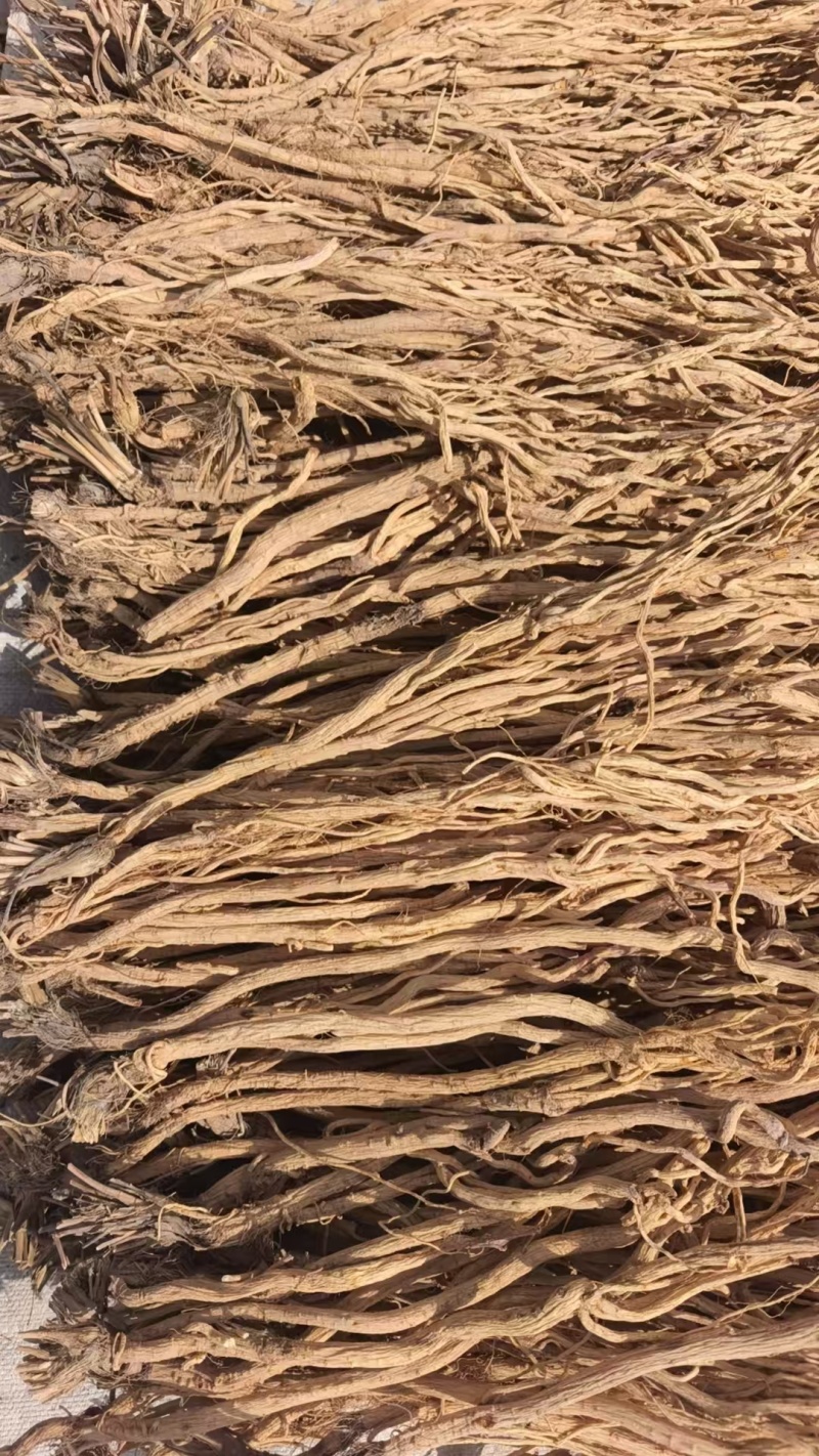 防风通货